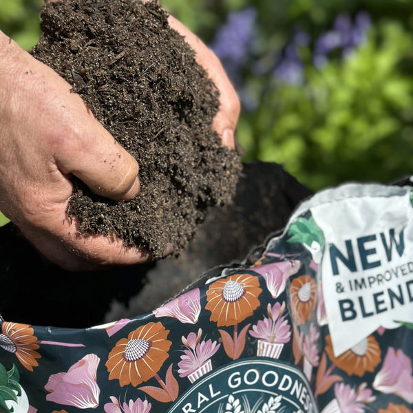 How to Improve Your Soil Health This Spring
