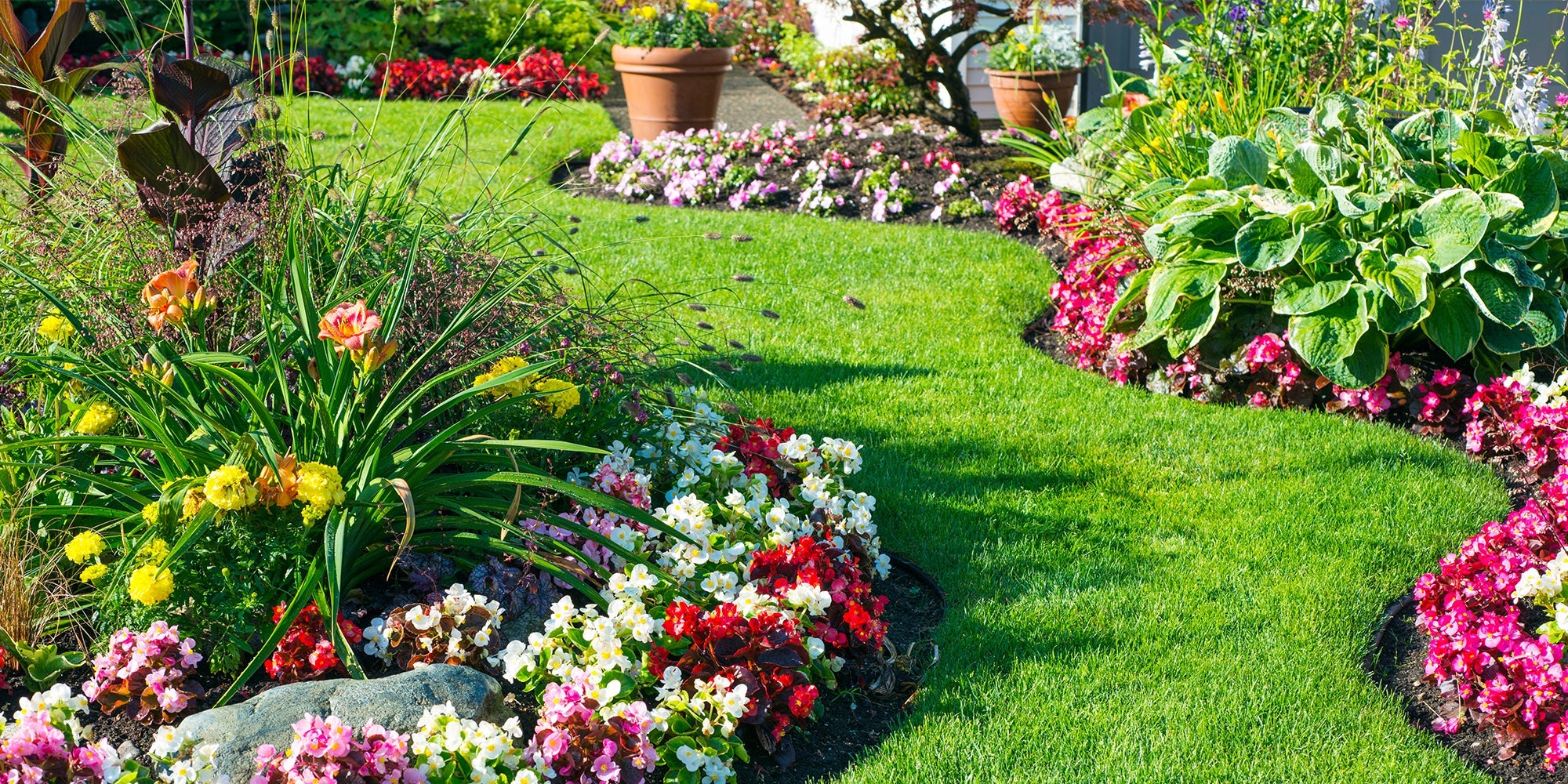 A Month-by-Month Garden Planting Calendar