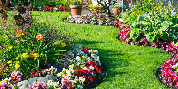 A Month-by-Month Garden Planting Calendar