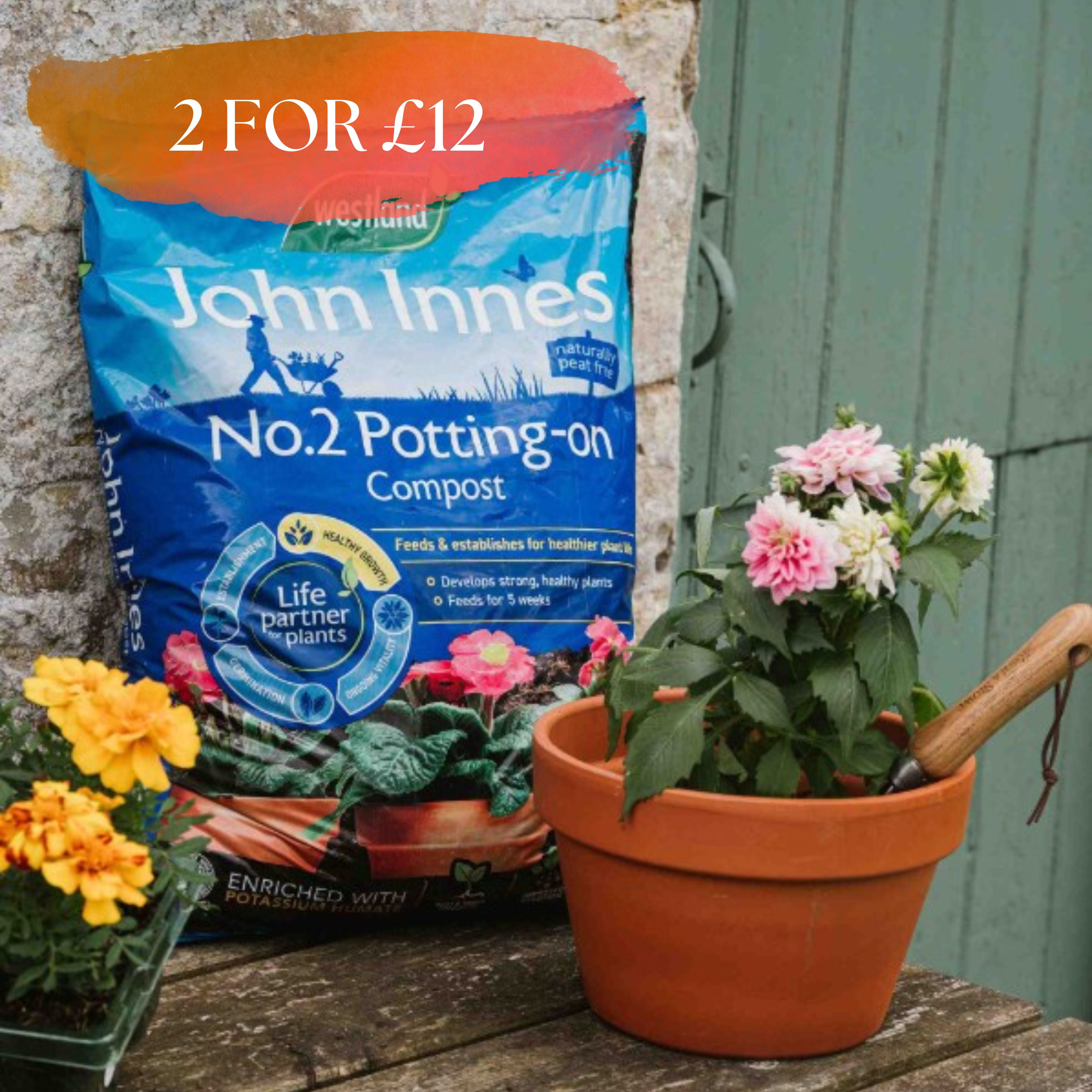 Westland John Innes Peat Free No.2 Potting-on Compost 28L