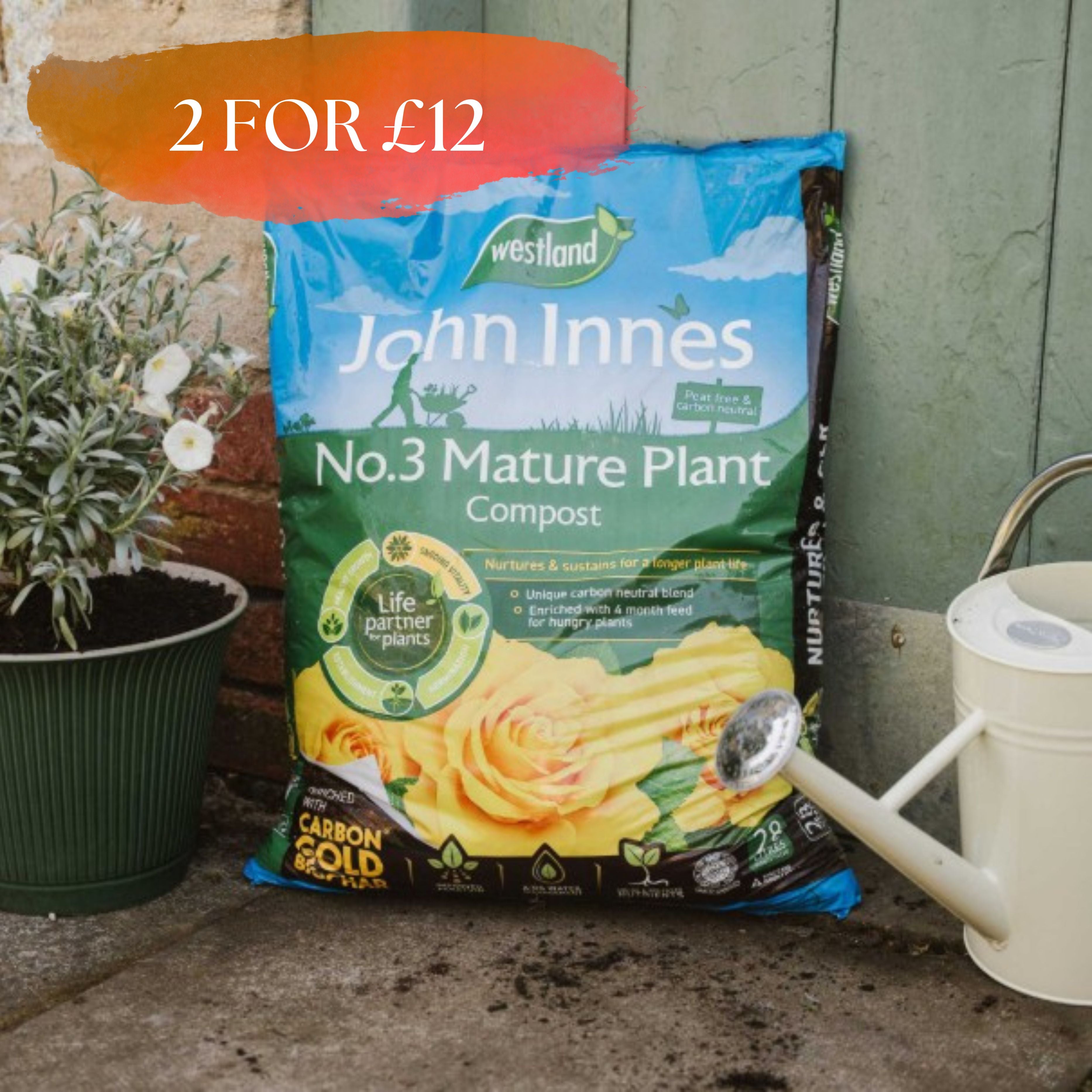 Westland John Innes Peat Free No.3 Mature Plant Compost 28L