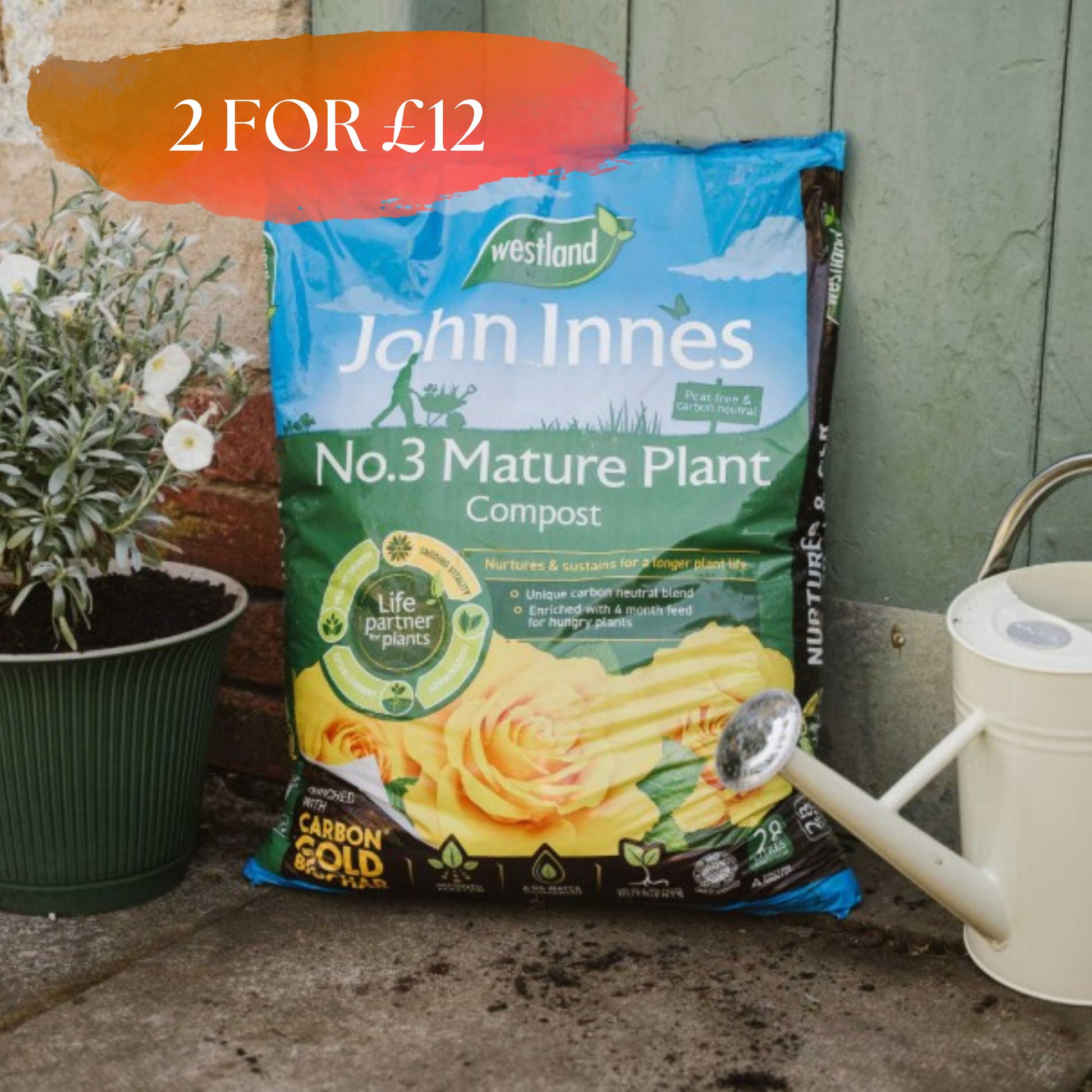 Westland John Innes Peat Free No.3 Mature Plant Compost 28L