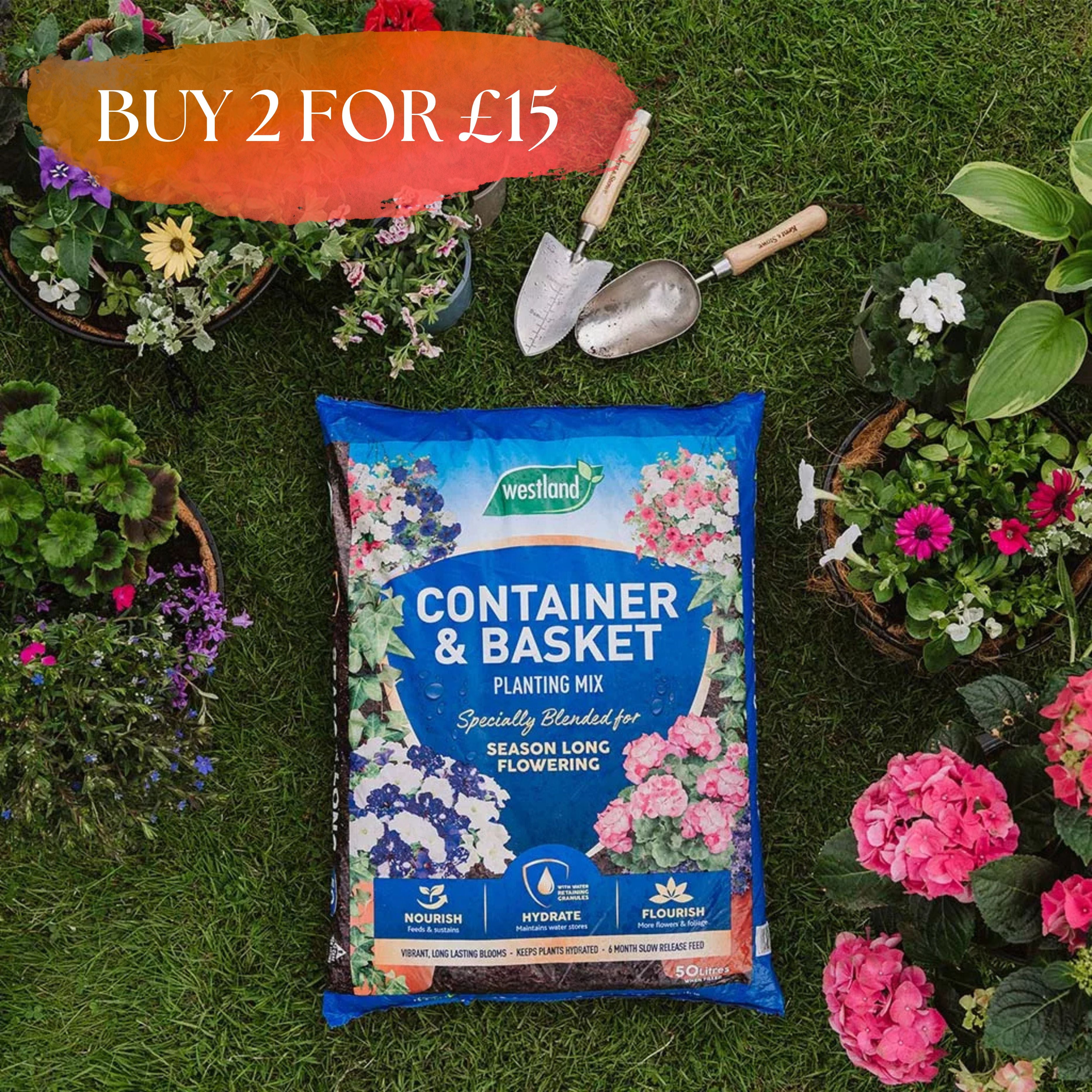 Westland Container & Basket (Moisture Control) 50L