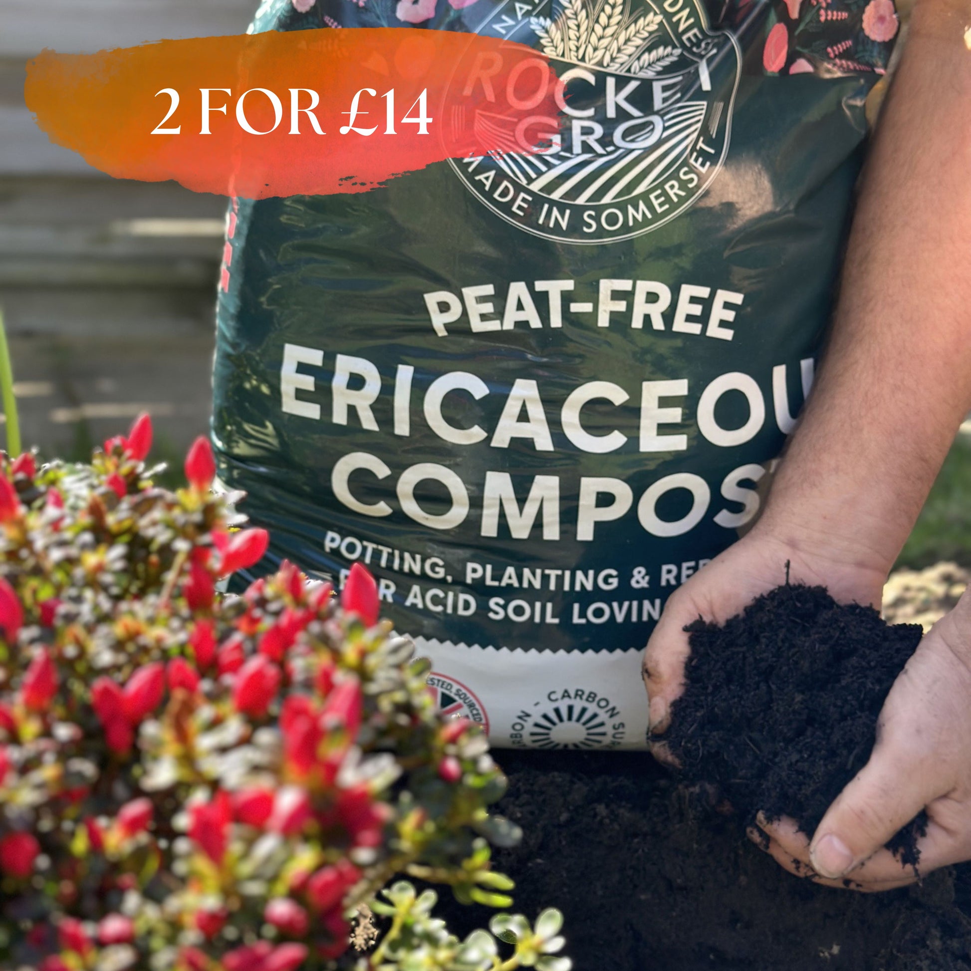 Rocket Gro Peat-Free Ericaceous Compost 40L