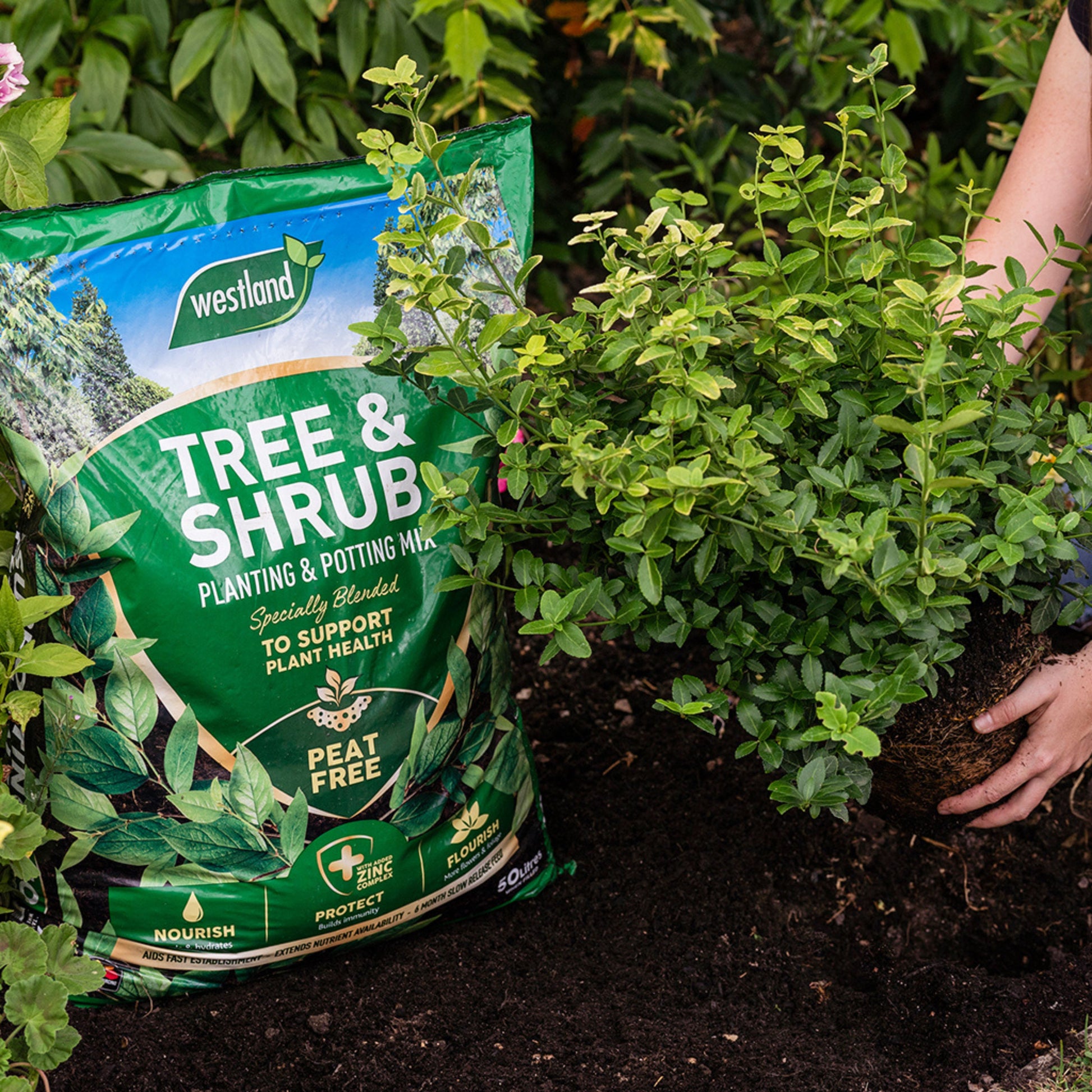 Tree & Shrub Planting & Potting Mix