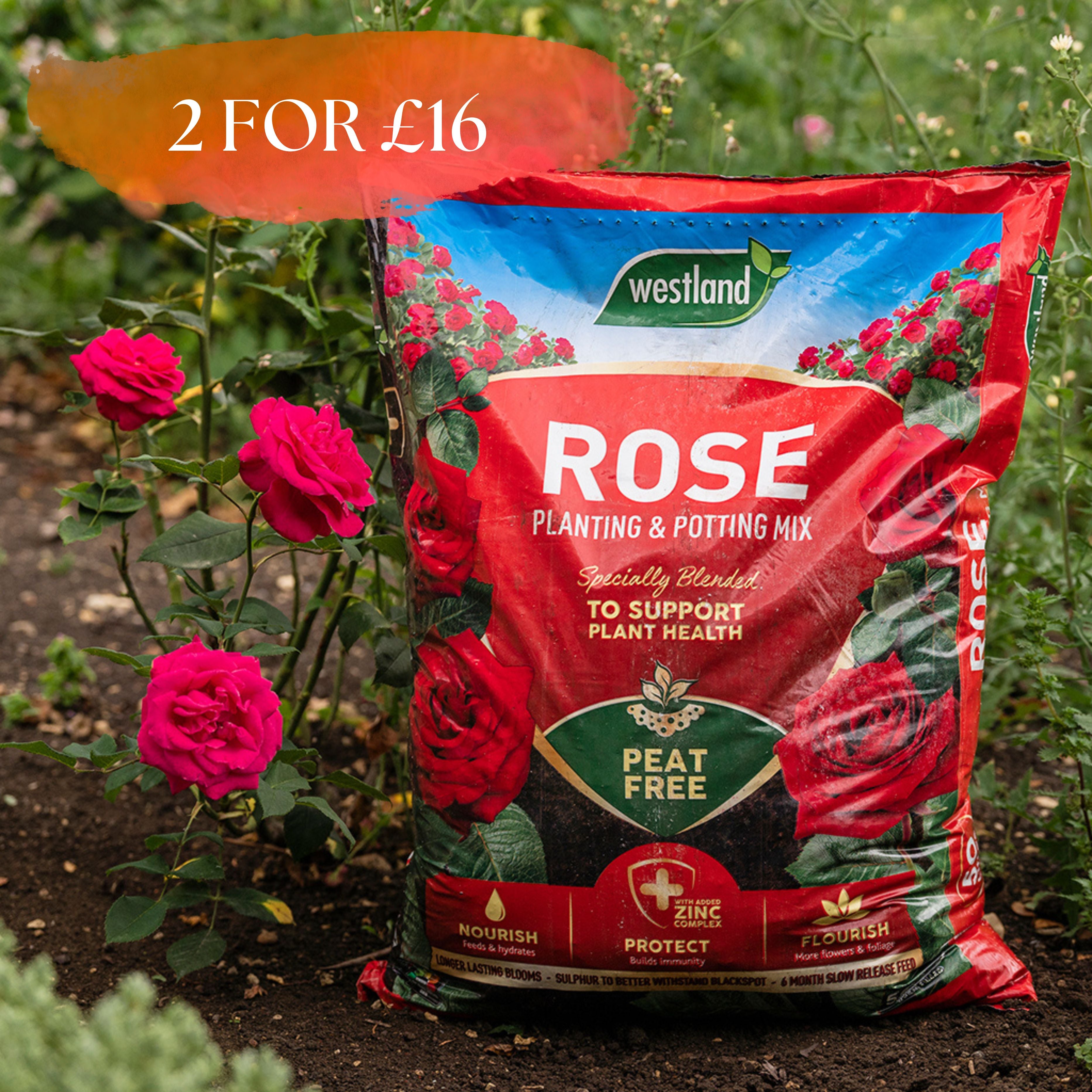 Westland Rose Planting & Potting Mix 50L