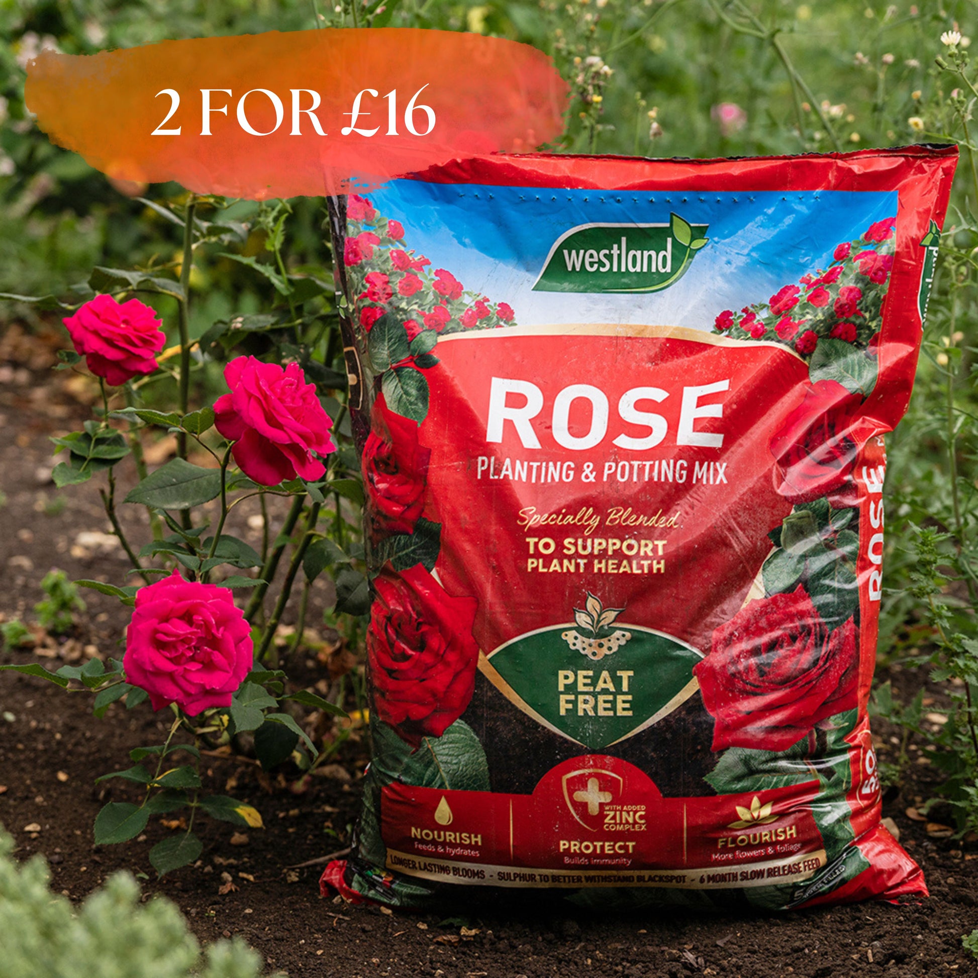 Westland Rose Planting & Potting Mix 50L