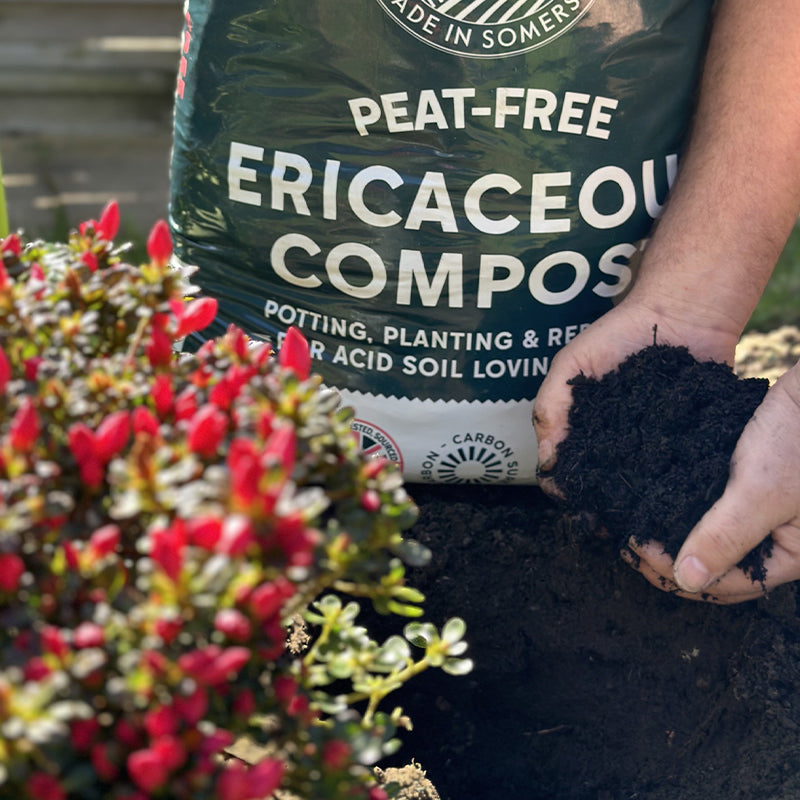 Rocket Gro Ericaceous Compost 40L