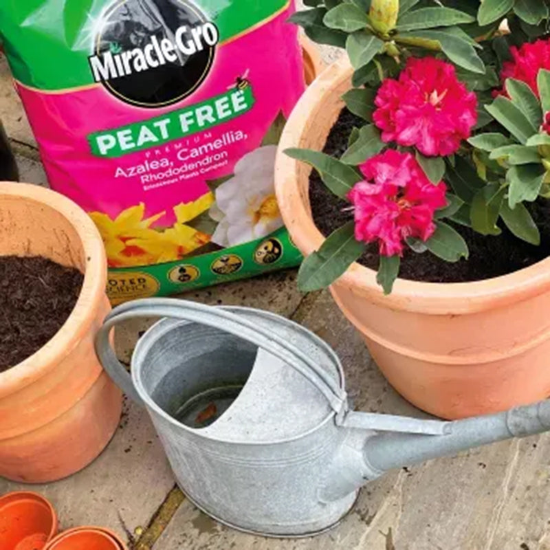 Evergreen Miracle-Gro ACR/Ericaceous Peat Free 40L