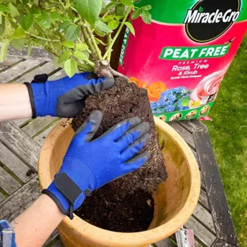 Evergreen Miracle-Gro Rose Tree Shrub Peat Free 40L