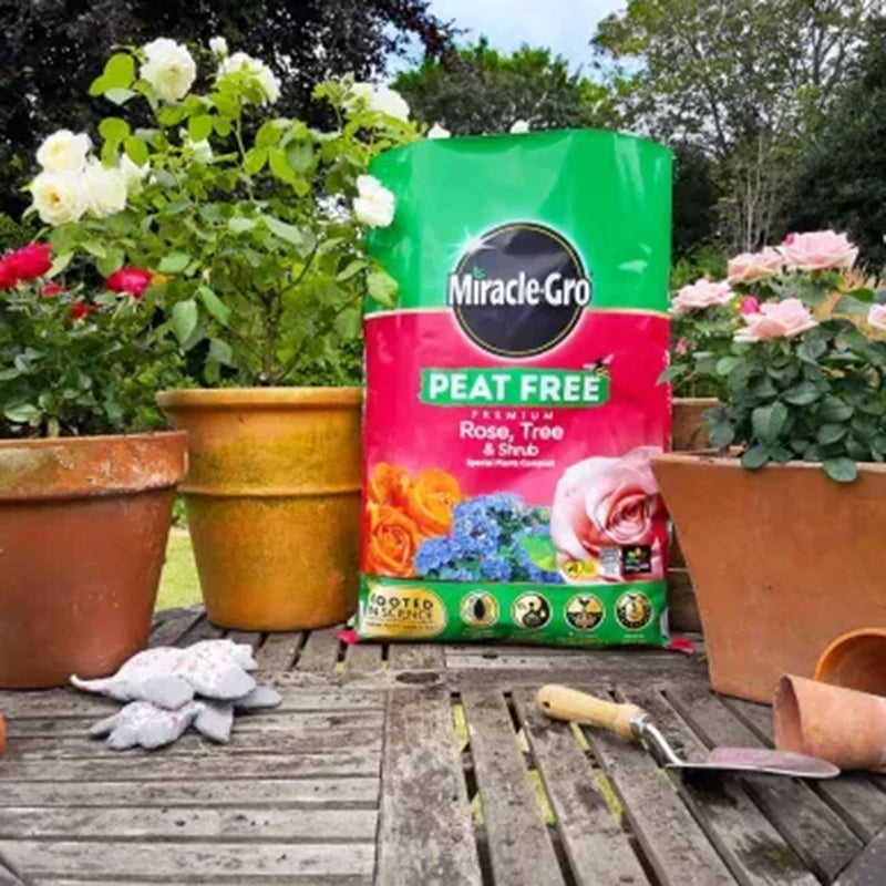 Evergreen Miracle-Gro Rose Tree Shrub Peat Free 40L