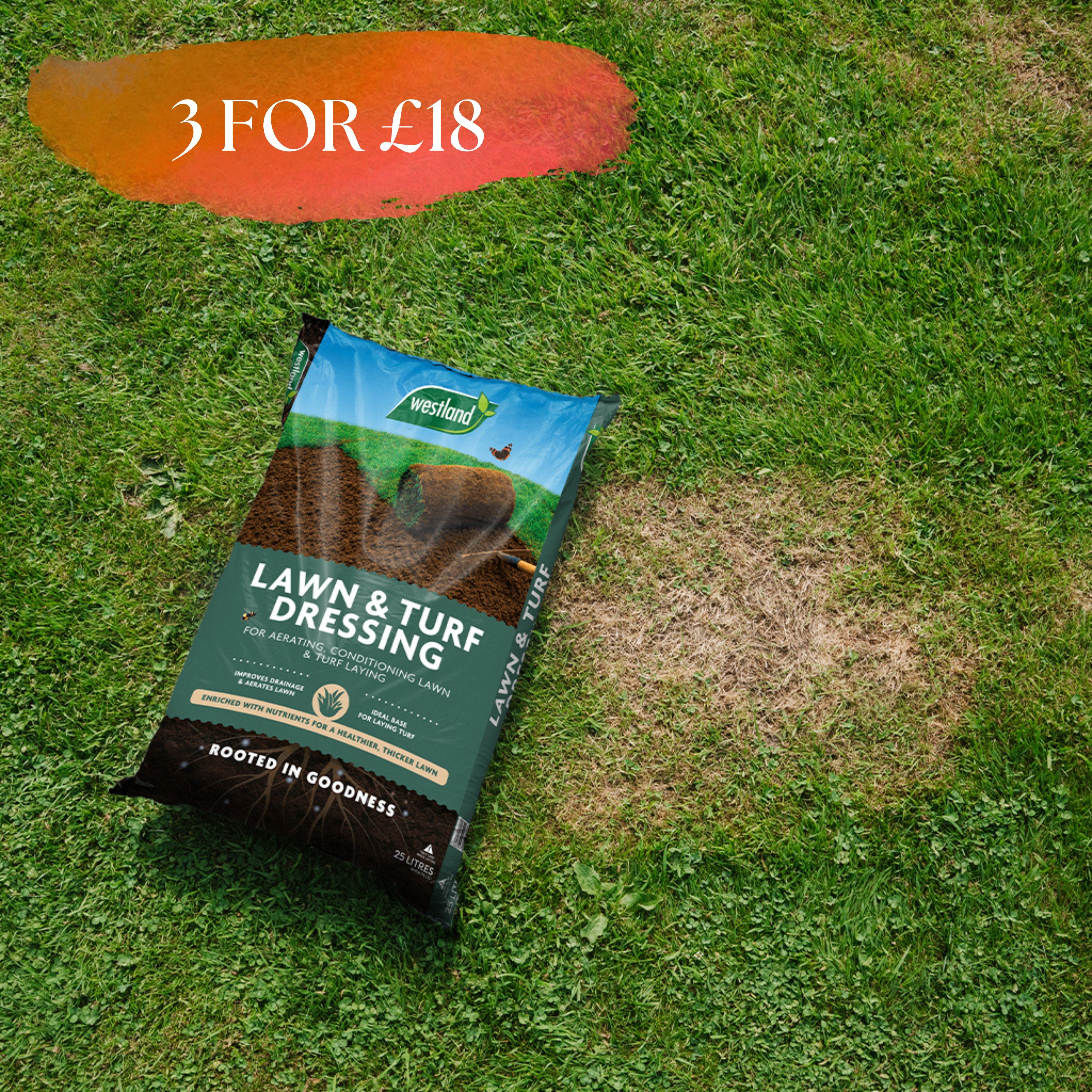 Westland Lawn Seeding Soil 30L
