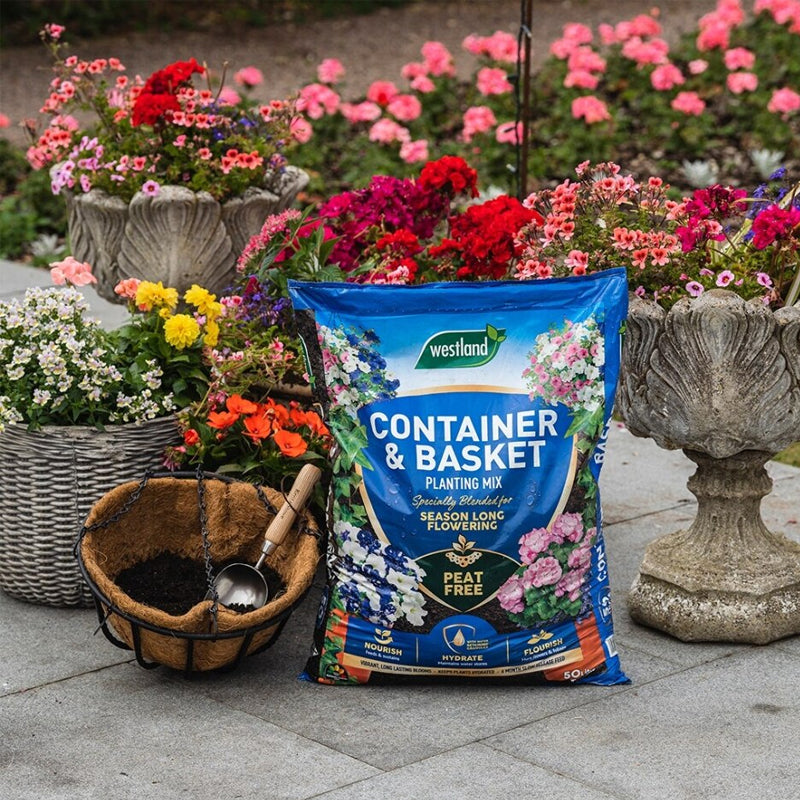 Westland Container & Basket (Moisture Control) 50L