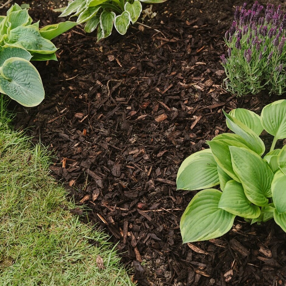 Westland Decorative Mini Bark