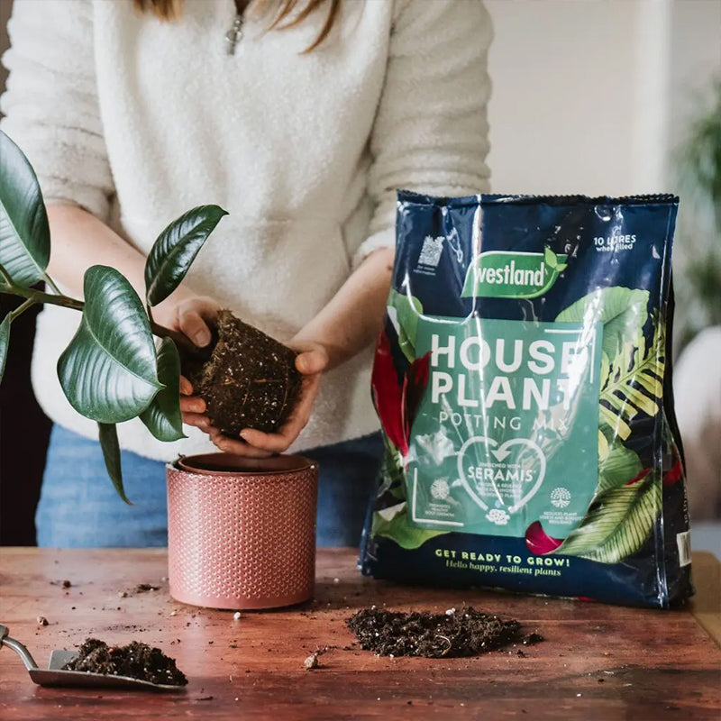 Westland Peat Free Houseplant Potting Mix 10L
