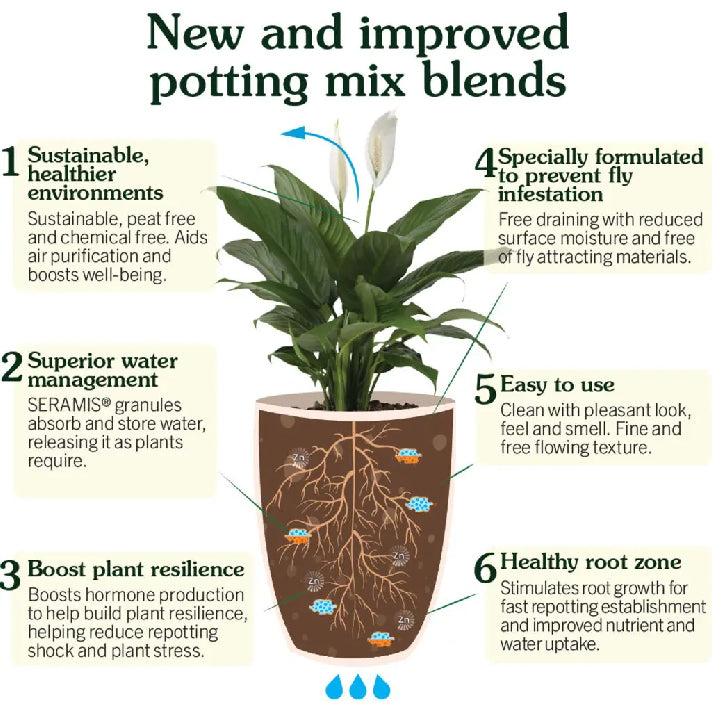 Westland Peat Free Houseplant Potting Mix 10L