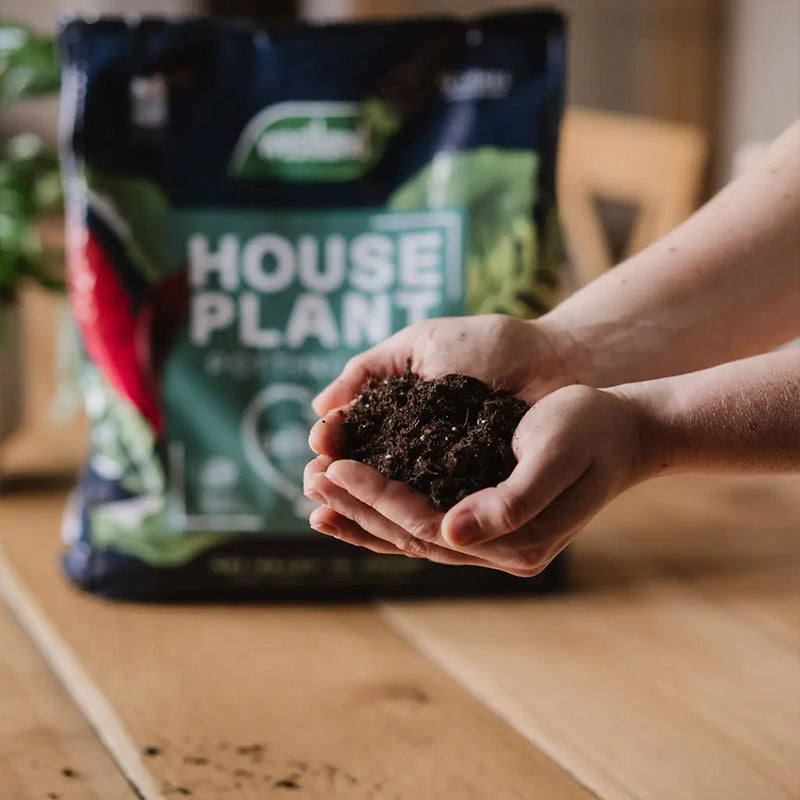 Westland Peat Free Houseplant Potting Mix 10L