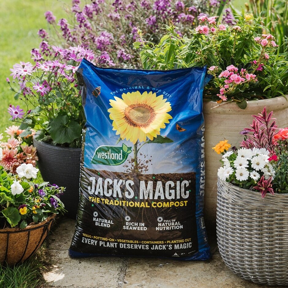 Westland Jack's Magic All Purpose Compost 50L
