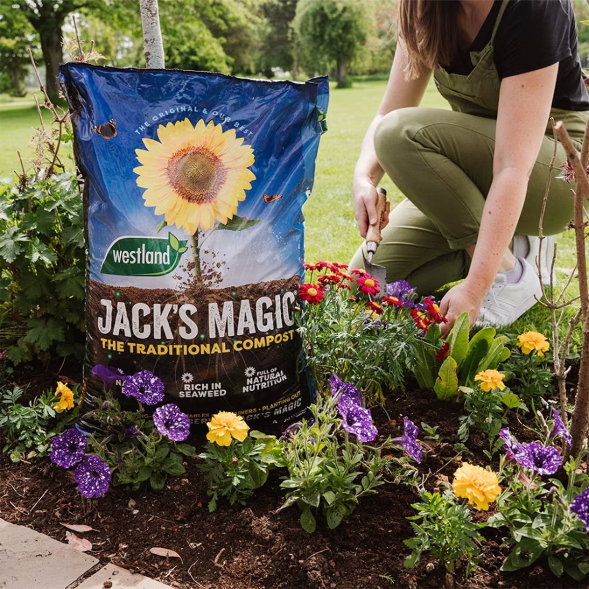 Westland Jack's Magic All Purpose Compost 50L