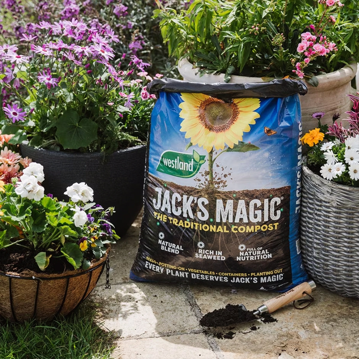 Westland Jack's Magic All Purpose Compost 50L