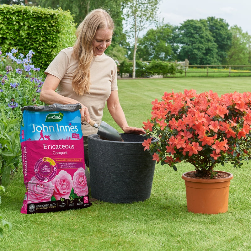 Westland John Innes Ericaceous Compost Peat Free 28L