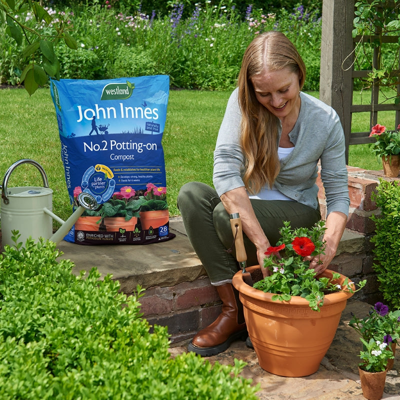 Westland John Innes No.2 Potting-on Compost Peat Free 28L