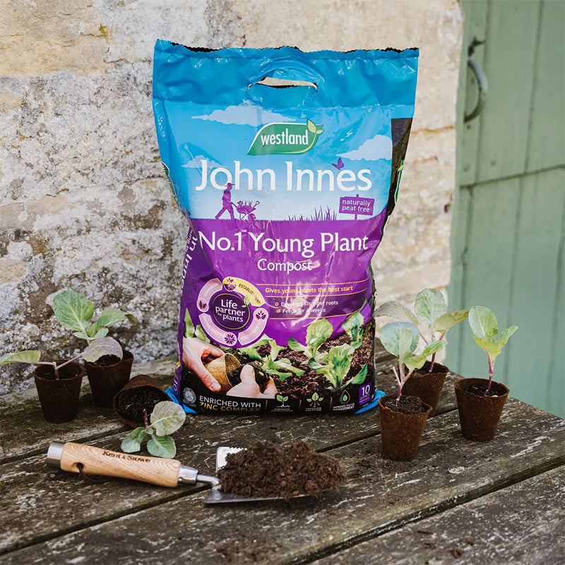 Westland John Innes PF No.1 Young Plant 10L
