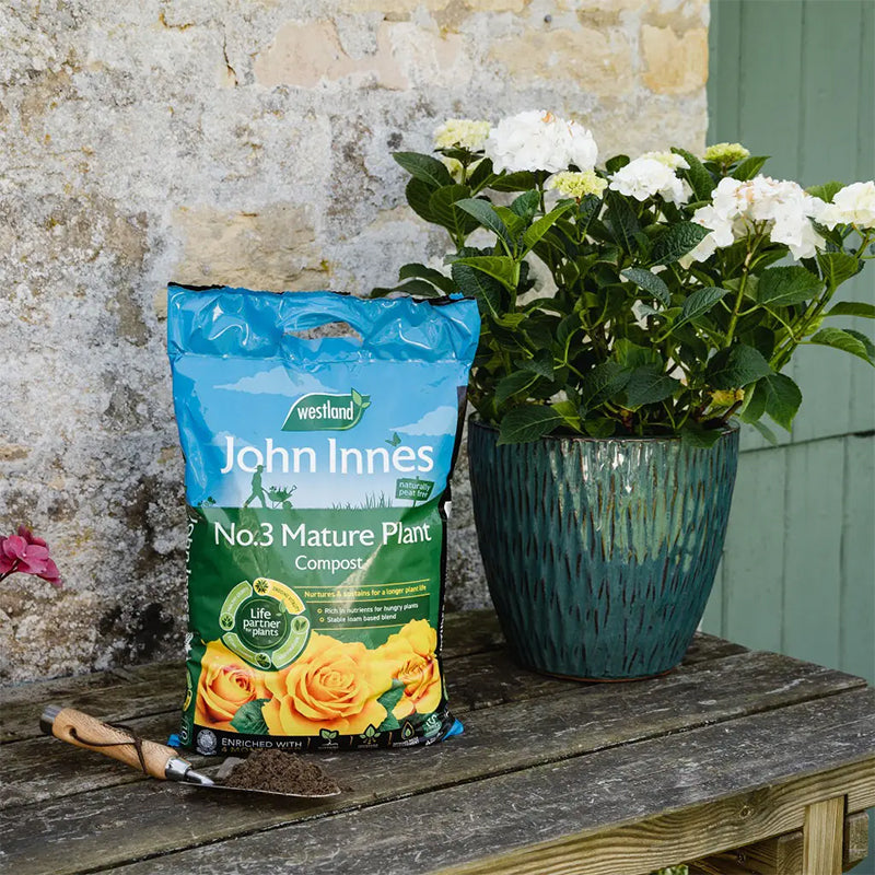 Westland John Innes PF No 3 Mature Plant 10L