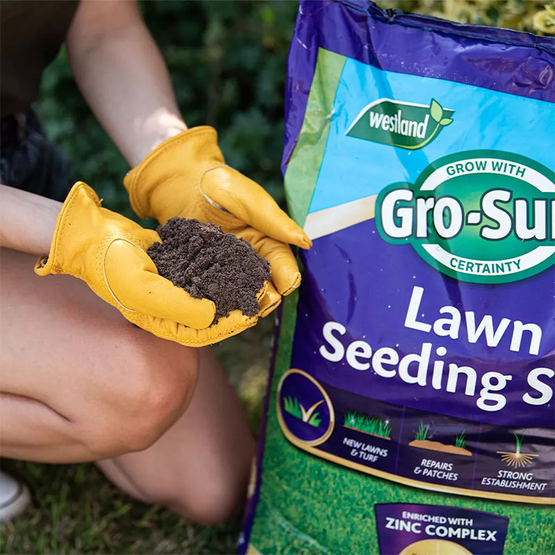 Westland Lawn Seeding Soil 30L