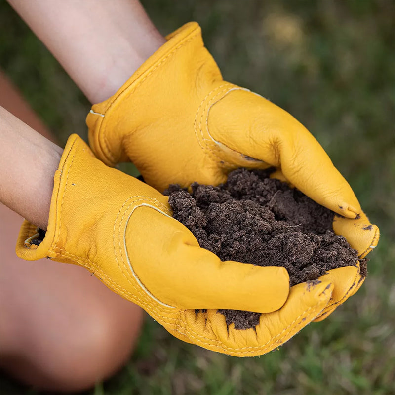 Westland Lawn Seeding Soil 30L