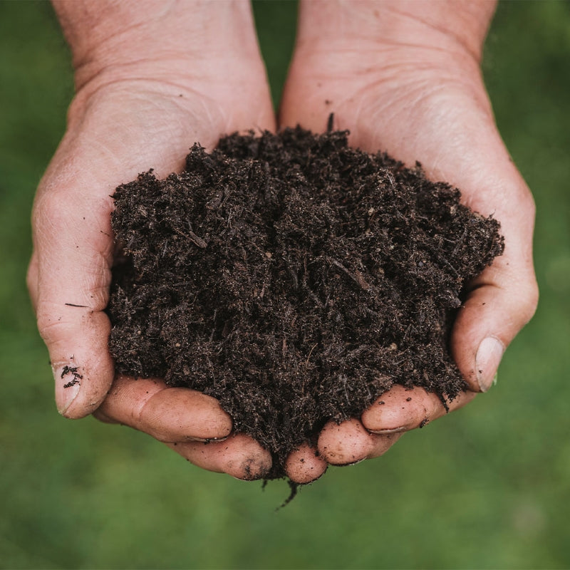 Westland New Horizon All Plant Compost 50L